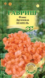 Флокс друммонда Шанель 8с Н20см сер.Элитная клумба /однолетник/ЦП