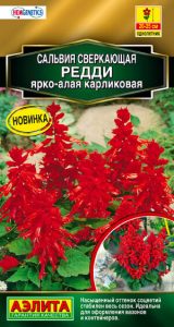 Сальвия Редди Ярко-Алая Карликовая 7шт Н25см Сел.Hem Genetics Золотая сер /однолетник/ЦП