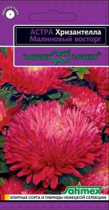 Астра Хризантелла Малиновый Восторг 0,05гр сер.Эксклюзив /однолетник/ЦП