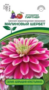 Цинния МАЛИНОВЫЙ ЩЕРБЕТ 5шт сер.Барышня-крестьянка  2-ной пак /однолетник/ЦП НОВИНКА!!!