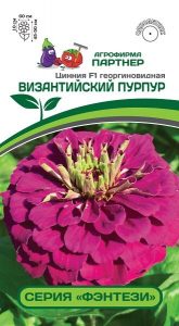 Цинния ФЭНТЕЗИ ВИЗАНТИЙСКИЙ ПУРПУР F1 /4шт георгиновид Н45-50см сер.Фэнтези 2-ной пак /однолетник/ЦП НОВИНКА!!!