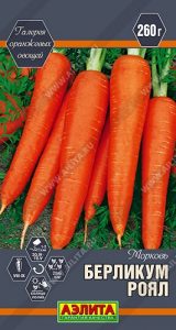 Морковь Берликум Роял 2г позднеспел сер.Галерея оранжевых овощей/ЦП НОВИНКА!!!