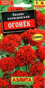 Лихнис Огонек 0,1гр халцедонский /многолетник/ЦП НОВИНКА!!!