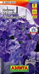 Петуния Ивнинг Сенсейшн F1 /5шт (драже в пробирке) Селекция Takii Seed /однолетник/ЦП НОВИНКА!!!