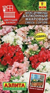 Флокс друммонда Балконный Махровый 10шт смесь сортов сер.Цветущий балкон /однолетник/ЦП НОВИНКА!!!