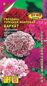 Гвоздика турецкая Бархат 0,3гр махровая сер.Цветущий Сад /двулетник/ЦП НОВИНКА!!!