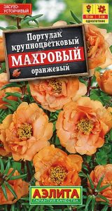 Портулак махровый Оранжевый 0,05гр /однолетник/ЦП НОВИНКА!!!